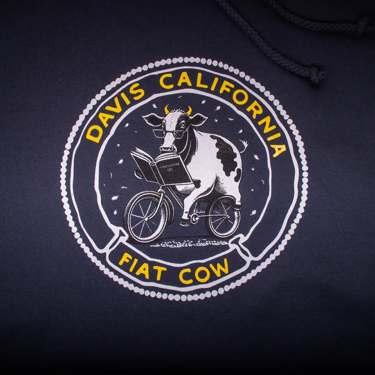 Davis California Hoodie